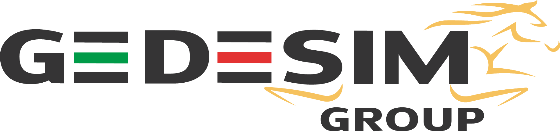 GEDESIM Group